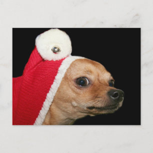 Festividades Cartão postal de Natal Chihuahua