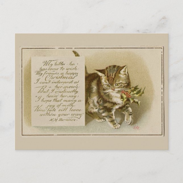 Festividades Cartão Postal de Natal de Gatinho Antigo (Frente)