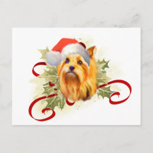 Festividades Cartão postal de Natal Yorkshire Terrier