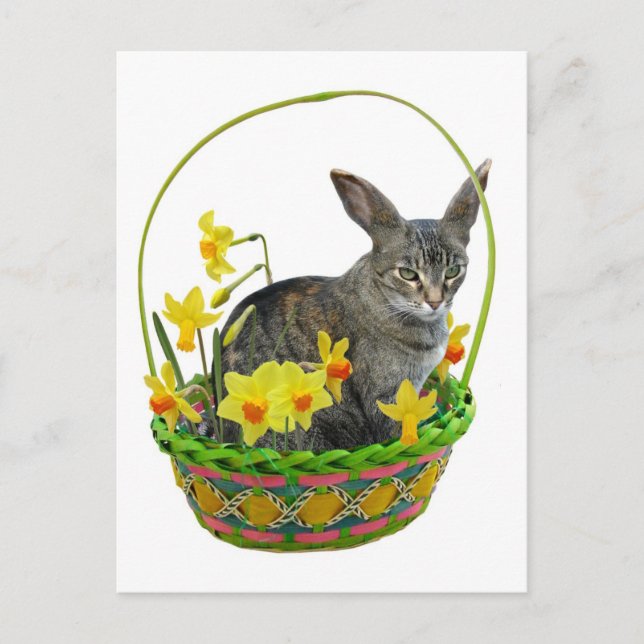 Festividades Cartão postal de páscoa (Frente)