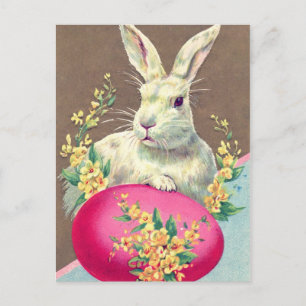 Festividades Cartão postal de páscoa