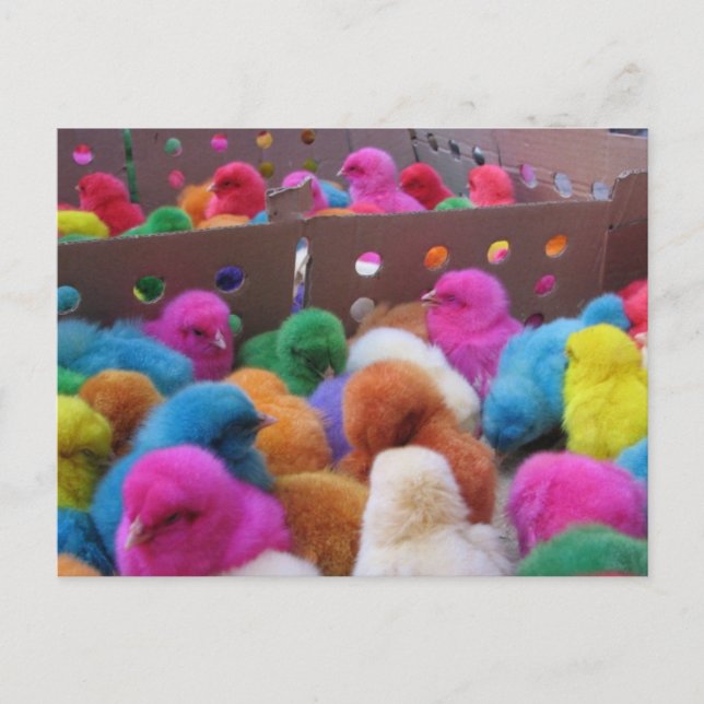 Festividades Cartão postal de páscoa (Frente)