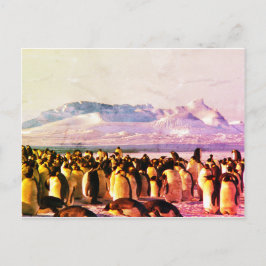 Festividades CARTÃO POSTAL DE PINGUIM Cartão postal de férias