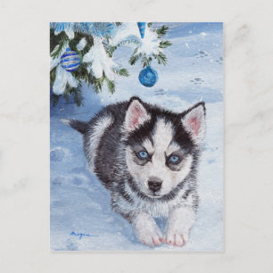 Festividades Cartão postal de rouco de Natal azul