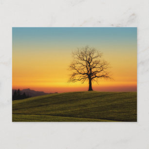 Festividades Cartão Postal de Viagem de Árvore Colorida Elegant
