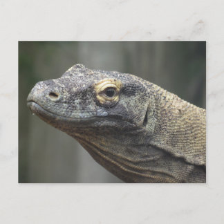 Festividades Cartão postal do dragão de Komodo