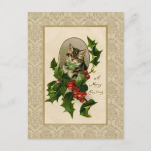 Festividades Cartão postal vintage de reprodução do gato do aze
