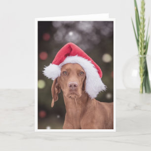 Festividades Cartão Xmas/Cartão de Natal "Magyar Vizsla"