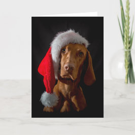Festividades Cartão Xmas/Cartão de Natal "Magyar Vizsla"