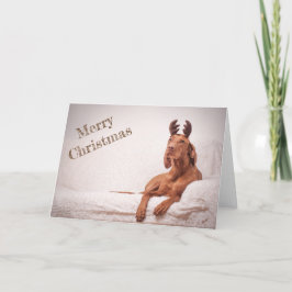 Festividades Cartão Xmas/Cartão de Natal "Magyar Vizsla"