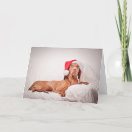 Festividades Cartão Xmas/Cartão de Natal "Magyar Vizsla"