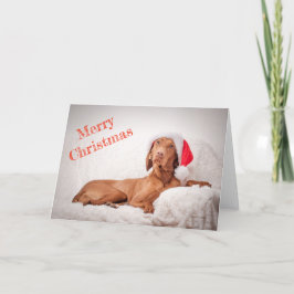 Festividades Cartão Xmas/Cartão de Natal "Magyar Vizsla"