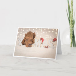 Festividades Cartão Xmas/Cartão de Natal "Magyar Vizsla"