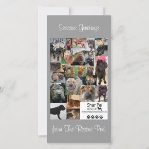 Festividades Cartão Xmas de Emergência Shar Pei