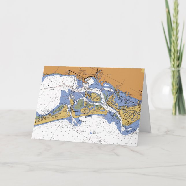 Festividades Carvão animal náutico de FL do _Sarasota do cartão (Frente)