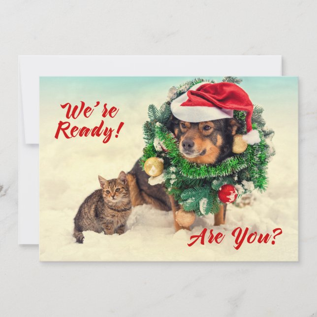 Festividades Cat & Cão Dois Cartão de Natal Lado (Frente)