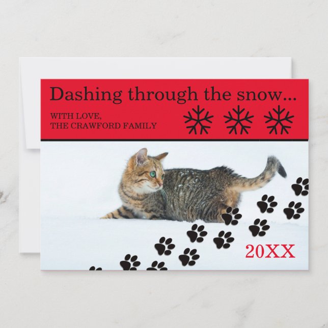 Festividades Cat Dashing Through the Snow - Cartão de Natal 3x5 (Frente)
