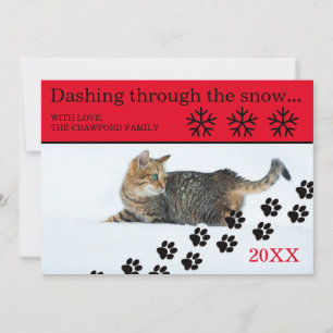 Festividades Cat Dashing Through the Snow - Cartão de Natal 3x5