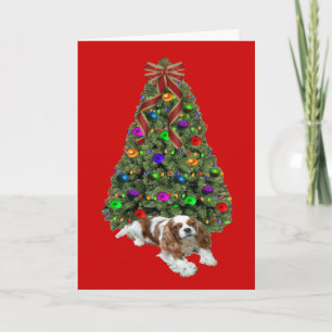 Festividades Cavalier King Charles Spaniel Árvore de Cartão de