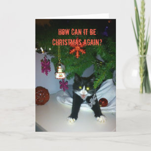 Festividades Como pode ser o cartão de Natal?