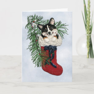 Festividades Corgi de três cores no cartão de estoque de Natal