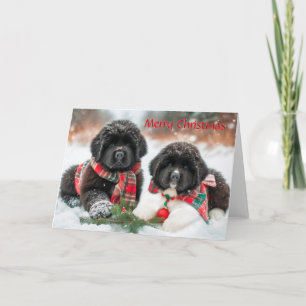 Festividades Cuppies de Terra Nova no Cartão de Natal de Neve