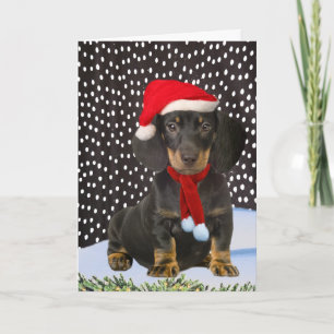Festividades Dachshund Um Cartão De Natal Para Neve