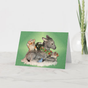 Festividades Deixe-o nevar! Cartão de Natal Corgis & Donkey