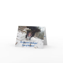 Desejos Feriados, Cartão de Natal De Suíno