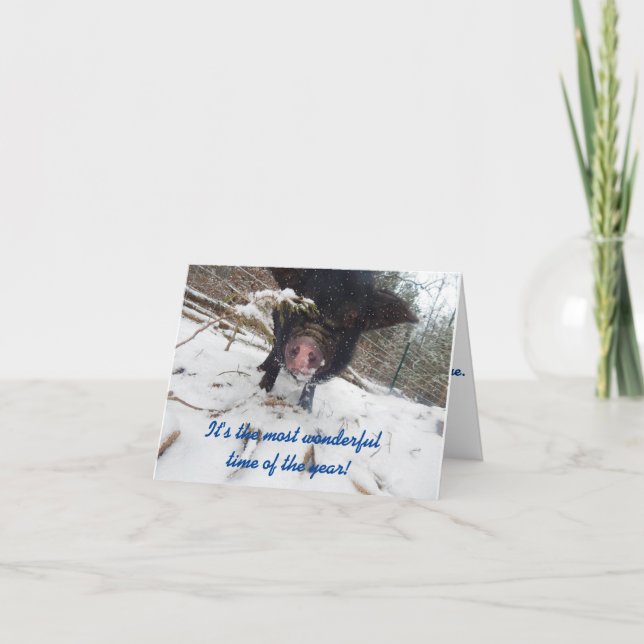 Festividades Desejos Feriados, Cartão de Natal De Suíno (Frente)