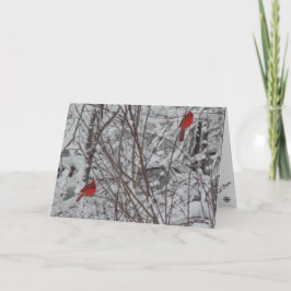 Festividades Dois Cardinhos - Cartão de Natal 5x7