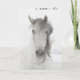 Festividades Égua Nevada - Cartão de Saudação de Cavalo