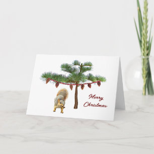 Festividades Esquilo com cartão de Natal Pinecone Tree