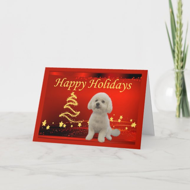 Festividades Estrelas de Cartão de Natal Bichon Frise (Frente)