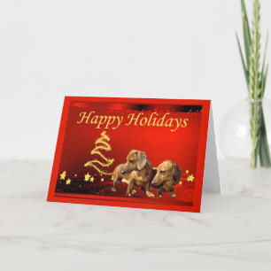 Festividades Estrelas de Cartão de Natal Dachshund2
