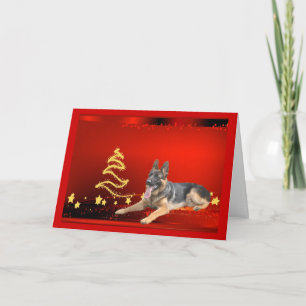 Festividades Estrelas de Cartão de Natal de german shepherd