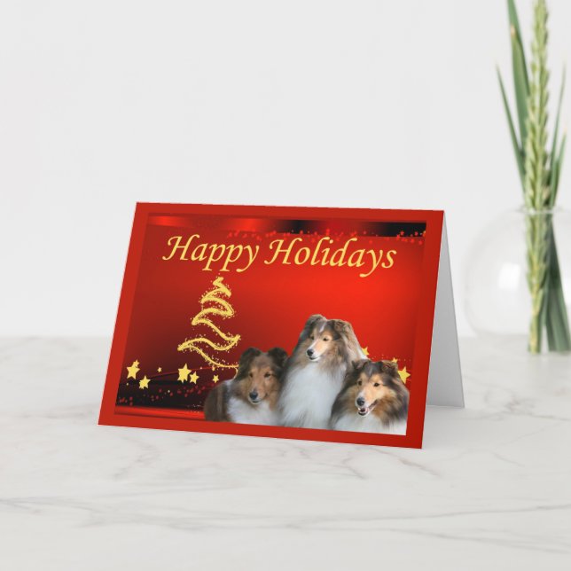 Festividades Estrelas de Cartão de Natal Sheltie (Frente)