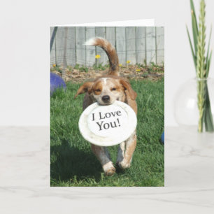 Festividades Eu Amo Seu Cartão De Saudação De Cão