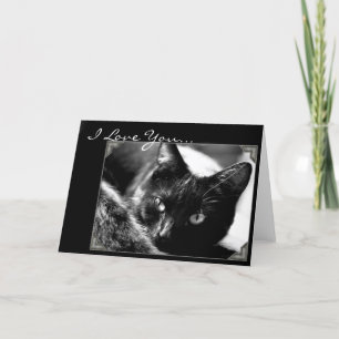 Festividades Eu te amo, cartão de saudação de gato preto