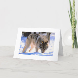 Festividades Faça o cartão de Natal do Lobo da Neve de inverno
