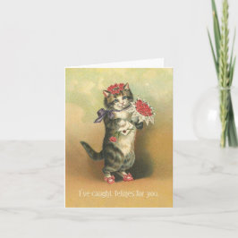 Festividades FELINAS CUIDADAS - Cartão de Namorados para gatos