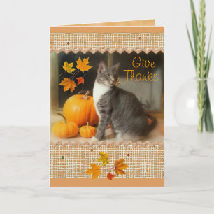 Festividades Feliz Cartão de Ação de Graças com Cat e Pumpkins