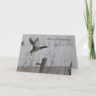 Festividades Feliz Cartão de Pato de Mallard de Natal de Janz
