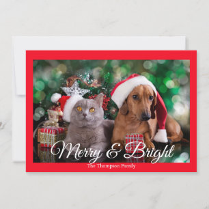 Festividades Feliz de fotos e cartão de feriado brilhante