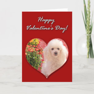 Festividades Feliz Dia dos Namorados Cartão de Poodle