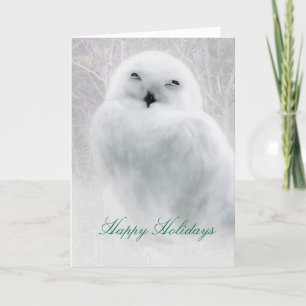 Festividades Feliz feriado. Cartão de saudação Snowy Owl