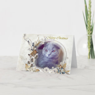 Festividades Feliz gatinho Feliz Cartão de Natal