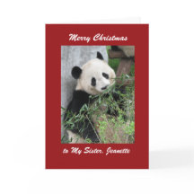 Feliz Natal Cartão de Saudação Panda, Fronteira Ve