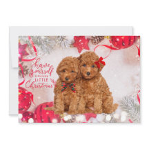 Feliz Natal Poodles Personalizado Cartão de Férias