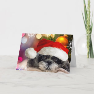 Festividades Feliz Natal Shih Tzu Cartão de Saudação